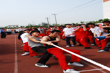 中國(guó)美術(shù)高考網(wǎng)ms211