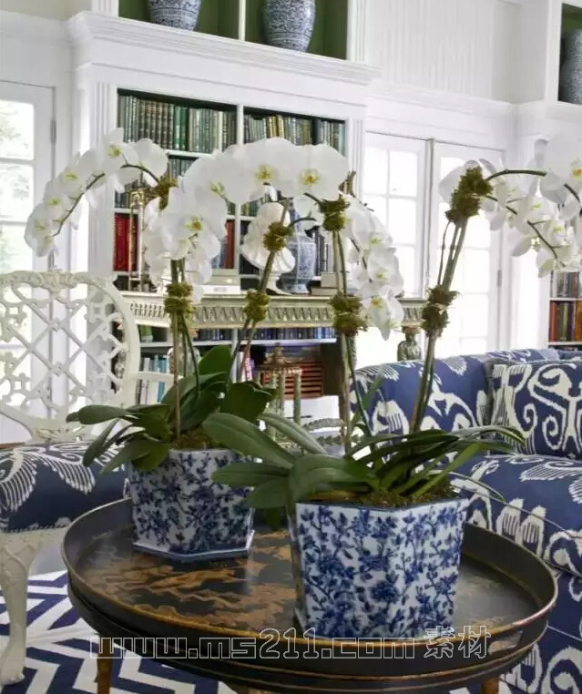 瓷器素材 - 美術(shù)高考網(wǎng) 2015101611