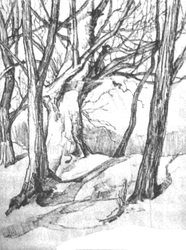 常見(jiàn)的速寫(xiě)的工具材料及技法特點(diǎn)www.51meishu.com 2.jpg