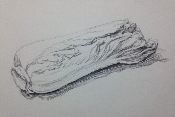 素描入門：單個物體白菜的素描畫法教程(3)