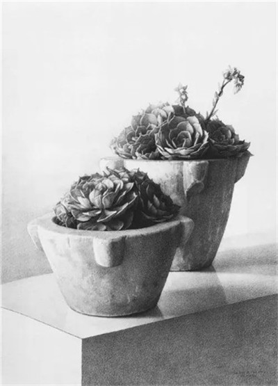 素描靜物考的提分妙方和途徑，真后悔沒(méi)在考前看一看！