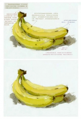 一步步的教你畫色彩單個物體，拿去學習吧~,51美術社