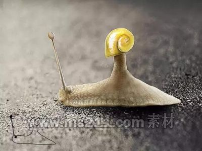 你畫成啥樣 我就長成啥樣,51美術(shù)社