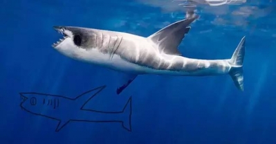 你畫成啥樣 我就長成啥樣,51美術(shù)社