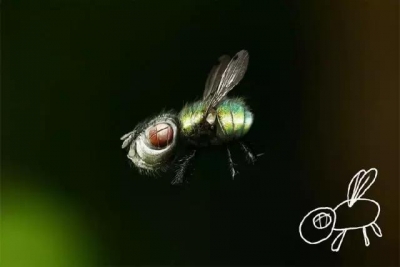 你畫成啥樣 我就長成啥樣,51美術(shù)社