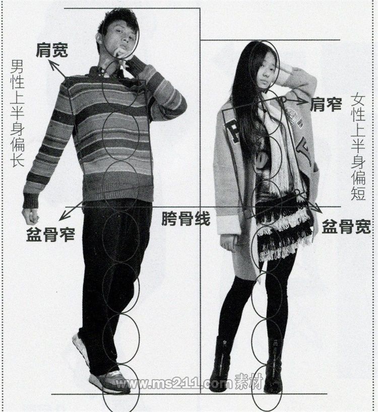 人物比例知識講解