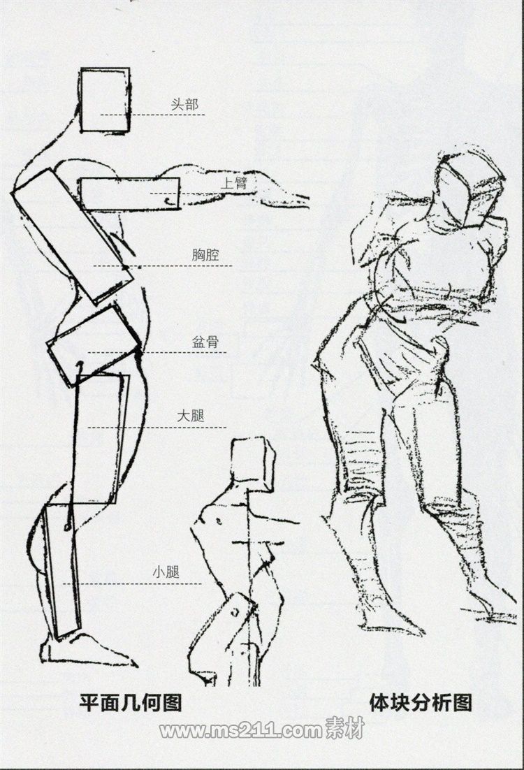 動(dòng)態(tài)與重心-51美術(shù)網(wǎng)