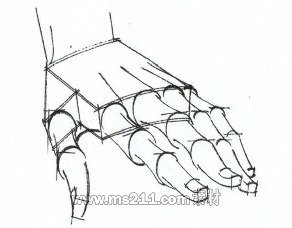 速寫人物手部解析-51美術(shù)網(wǎng)