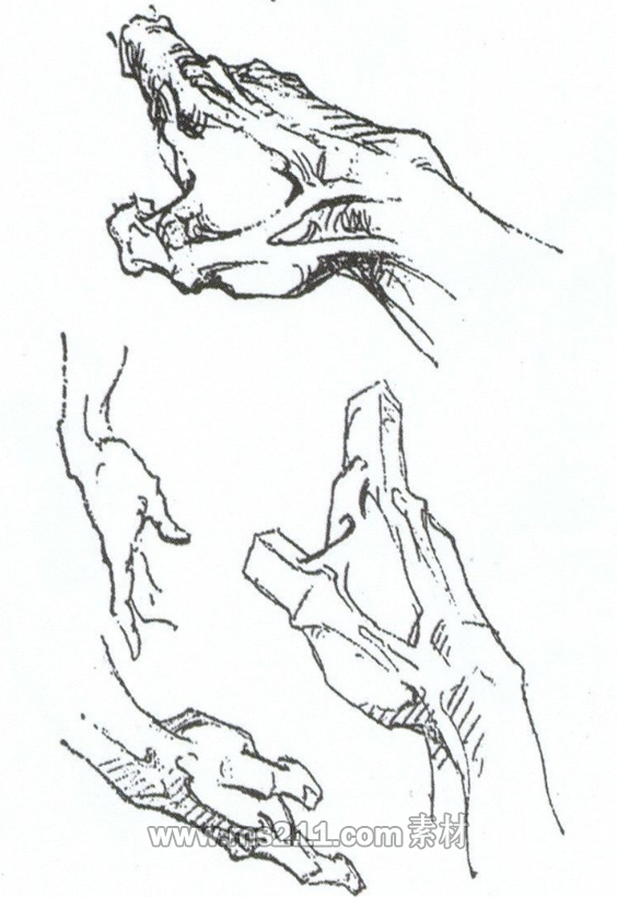 速寫人物手部解析-51美術(shù)網(wǎng)