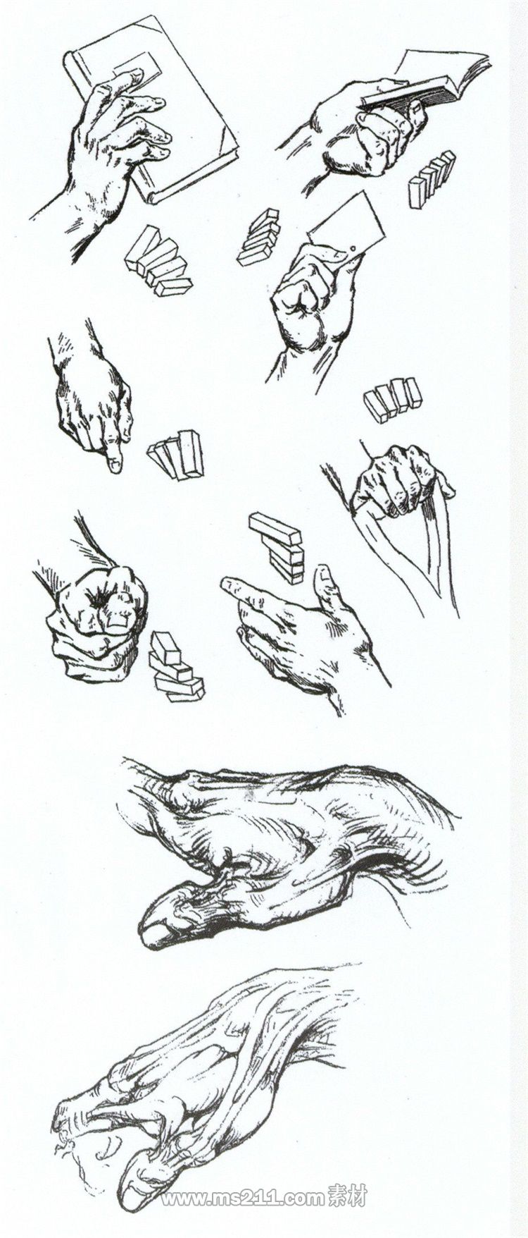 速寫人物手部解析-51美術(shù)網(wǎng)