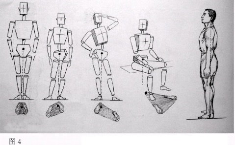 人體結(jié)構(gòu)