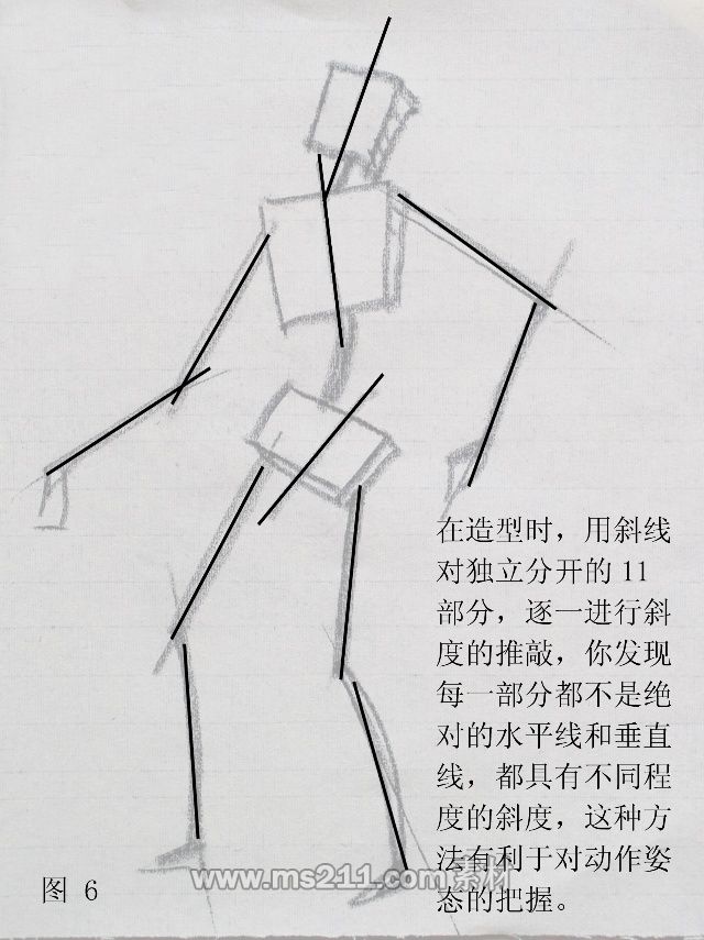 人體結(jié)構(gòu)