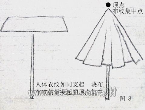 人體結(jié)構(gòu)