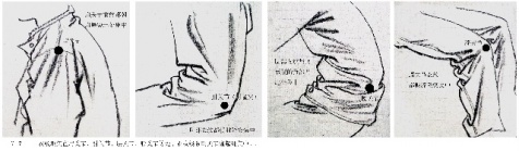 人體結(jié)構(gòu)