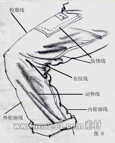 人體結(jié)構(gòu)