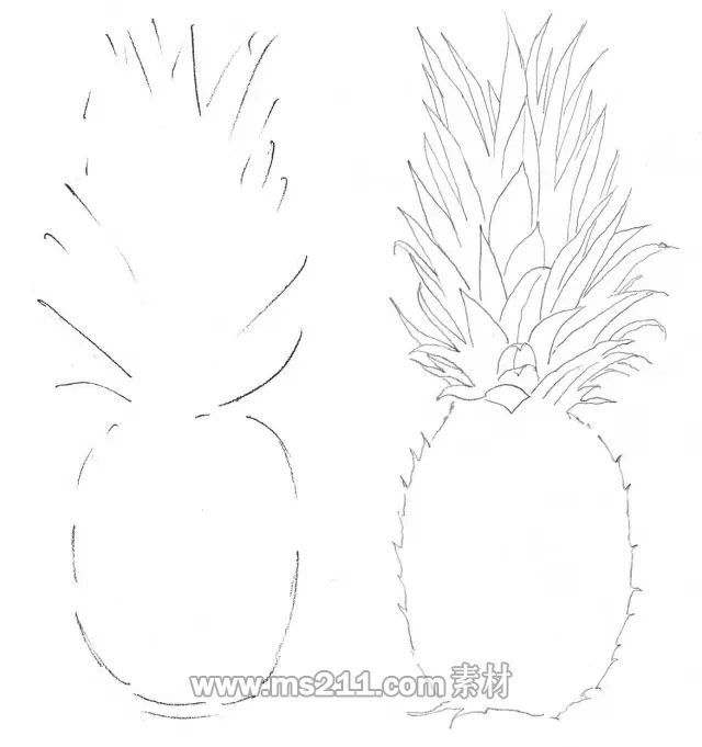 素描零基礎(chǔ)