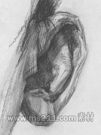 素描頭像-耳朵