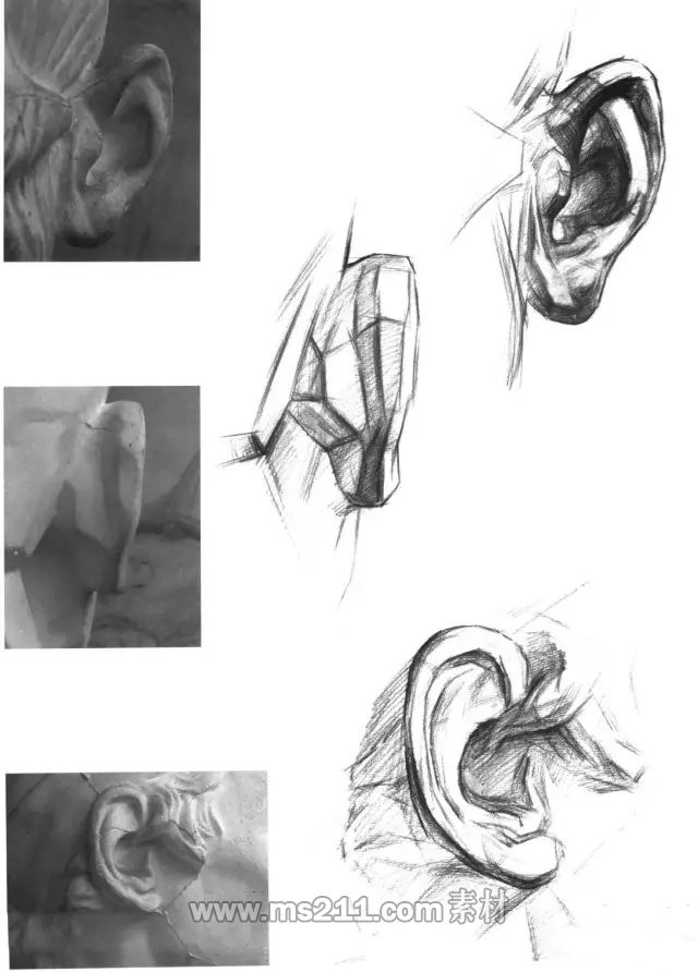 素描頭像-耳朵
