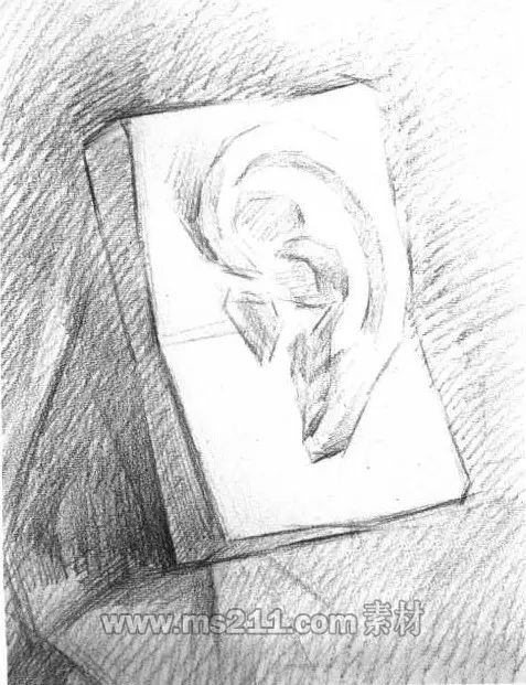 素描頭像-耳朵