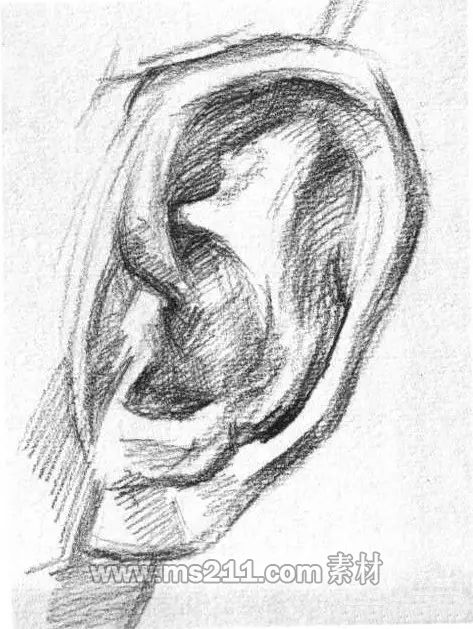素描頭像-耳朵