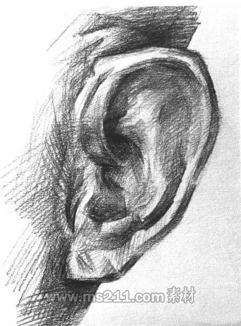 素描頭像-耳朵