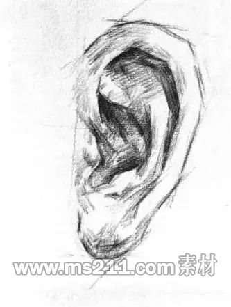 素描頭像-耳朵