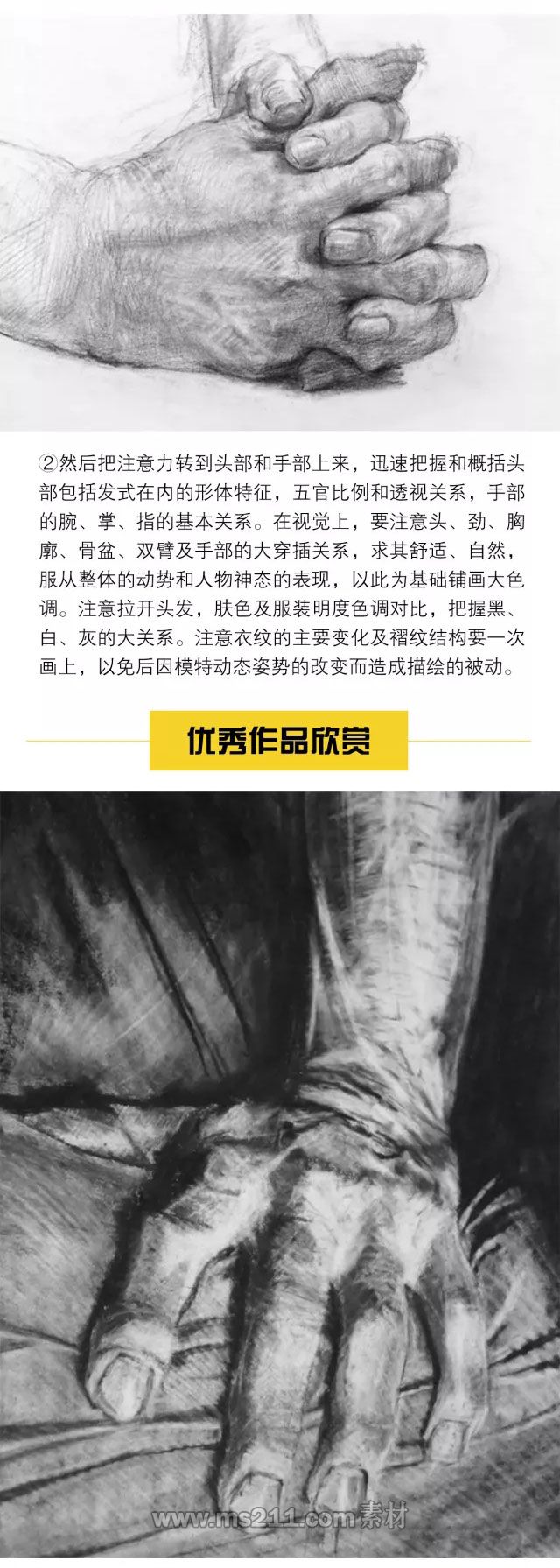 素描半身像帶手：黑白灰關(guān)系的掌握_03.jpg