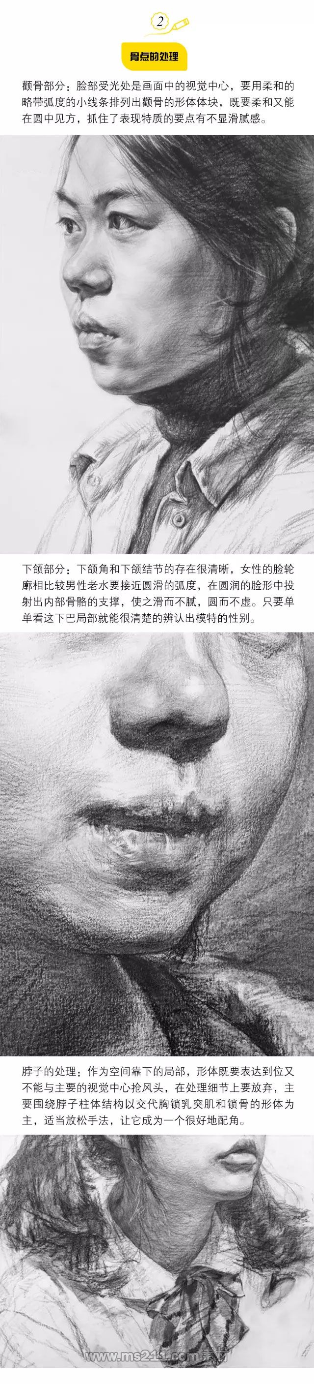 素描人像：如何表現(xiàn)女青年柔美、圓潤的特性？（上）_02.jpg