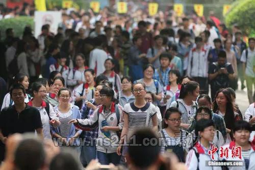 資料圖 中新社記者 泱波 攝