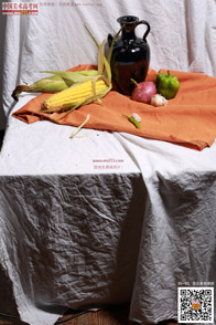 �߲˹���_�o����Ƭ_���g(sh��)�߿��W(w��ng)���M(f��i)����Ƭ20140909112