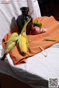 �߲˹���_�o����Ƭ_���g(sh��)�߿��W(w��ng)���M(f��i)����Ƭ20140909127