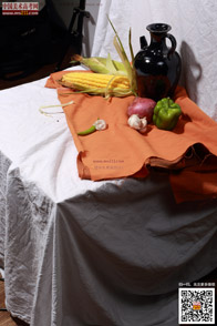 �߲˹���_�o����Ƭ_���g(sh��)�߿��W(w��ng)���M(f��i)����Ƭ20140909130