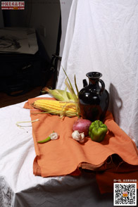 �߲˹���_�o����Ƭ_���g(sh��)�߿��W(w��ng)���M(f��i)����Ƭ20140909131