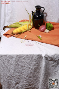 �߲˹���_�o����Ƭ_���g(sh��)�߿��W(w��ng)���M(f��i)����Ƭ20140909134