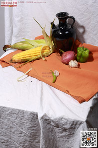 �߲˹���_�o����Ƭ_���g(sh��)�߿��W(w��ng)���M(f��i)����Ƭ20140909137