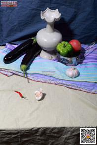 �߲˹���_�o����Ƭ_���g(sh��)�߿��W(w��ng)���M(f��i)����Ƭ20140909149