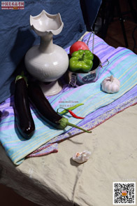 �߲˹���_�o����Ƭ_���g(sh��)�߿��W(w��ng)���M(f��i)����Ƭ20140909153