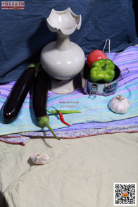 �߲˹���_�o����Ƭ_���g(sh��)�߿��W(w��ng)���M(f��i)����Ƭ20140909154