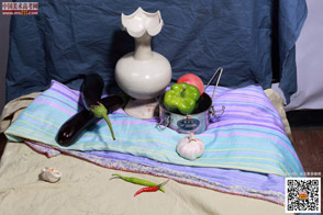 �߲˹���_�o����Ƭ_���g(sh��)�߿��W(w��ng)���M(f��i)����Ƭ20140909158