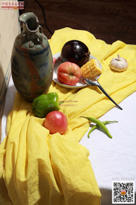 �߲˹���_�o����Ƭ_���g(sh��)�߿��W(w��ng)���M(f��i)����Ƭ20140909273