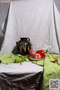 �߲˹���_�o����Ƭ_���g(sh��)�߿��W(w��ng)���M(f��i)����Ƭ2014090972