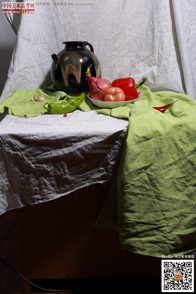 �߲˹���_�o����Ƭ_���g(sh��)�߿��W(w��ng)���M(f��i)����Ƭ2014090973